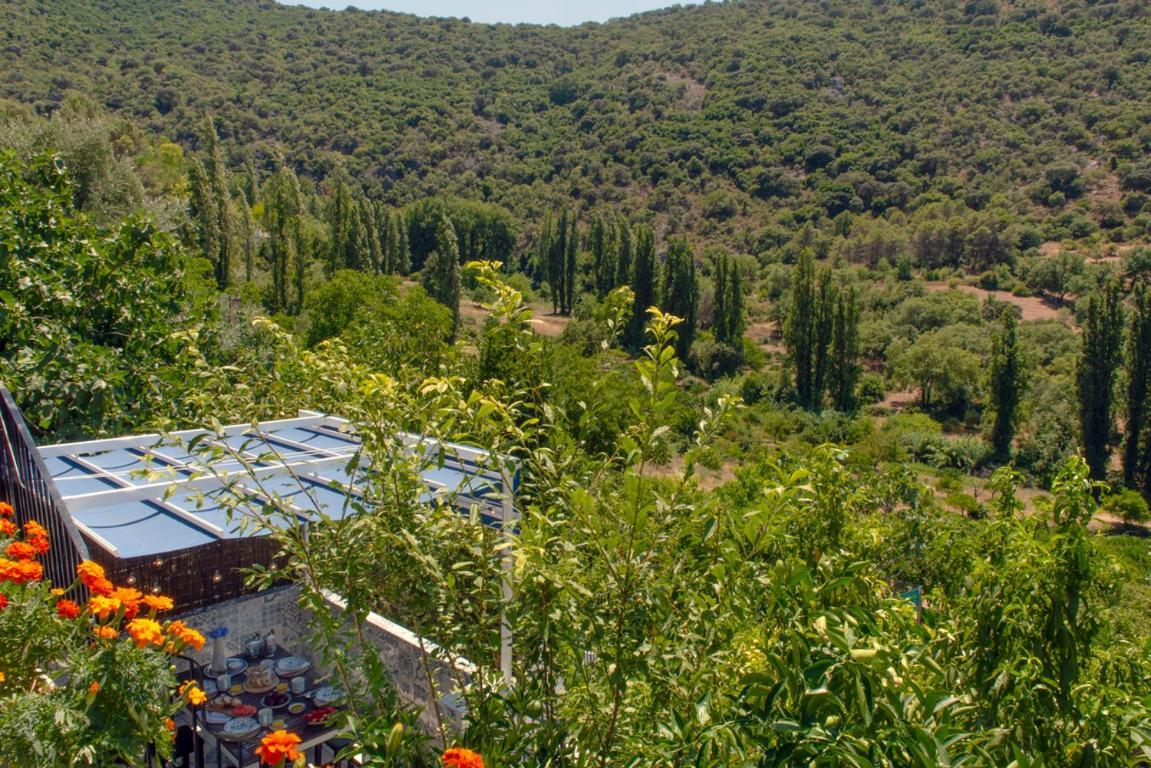 Stunning Home Benamahoma 4 Bed - Sierra Grazalema Exterior photo